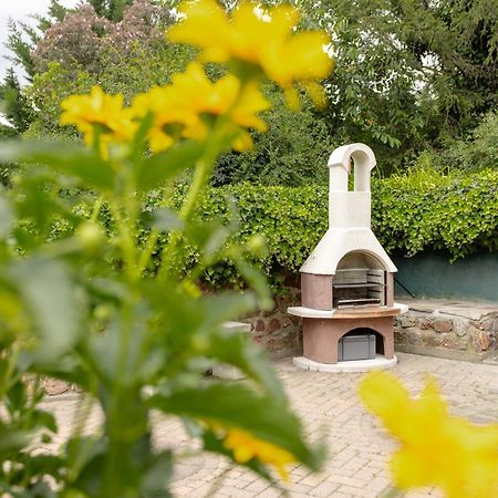 Ferienhaus Am Bergeshang Blankenburg  Eksteriør bilde
